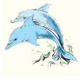 dolphin